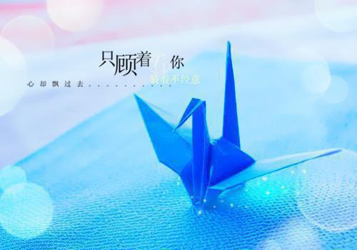 她用一场盛大的谢幕，来埋葬这段腐烂的感情江擎纪染白婷兰小说在线免费阅读