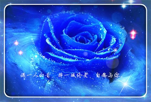 贵女发疯求死后，3个攻略对象悔疯了(苏归梨卫泽川)最完整全文阅读