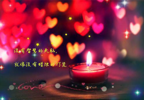杨昭哪里可以看 杨昭免费阅读第10章
