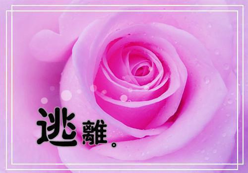 女友为初恋污蔑我后我转身离开她身边大结局免费阅读 王浩洋周铭张佳宁小说章节目录