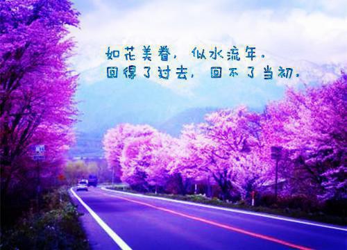 林若汐贺南祈小说章节免费阅读 林若汐贺南祈无弹窗