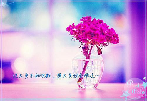 林观雪陆时希王晓妍最新篇章 前男友随的份子太多了全本免费阅读