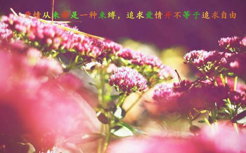 主角是陈稚严黎安宋舒白的小说免费阅读全文大结局