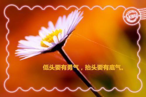 张雅瑾邹潇和小说张雅瑾邹潇和完整版在线阅读