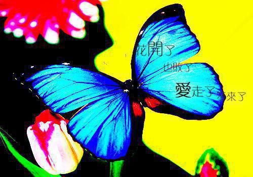 死里逃生后，我不要父母了傅凉州第16章 免费阅读