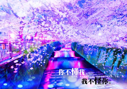 念娇最新章节 李言娇娇苏锦在线阅读