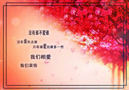 (最新)季知洵慕婉小说完整版免费阅读