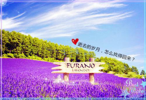 神识归位后，渣夫逆子火葬场了小说全文 李凛李韫林阿昭无删减无弹窗阅读