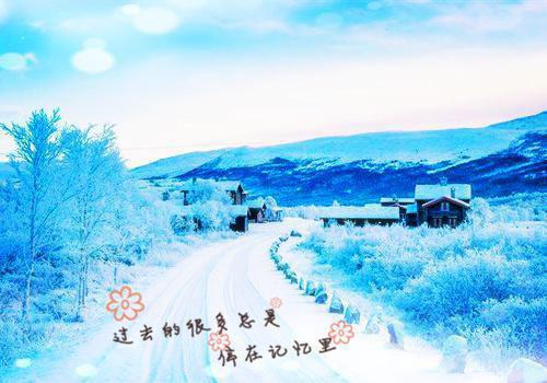 岑婉言陆祁州全文阅读 岑婉言陆祁州小说最新章节