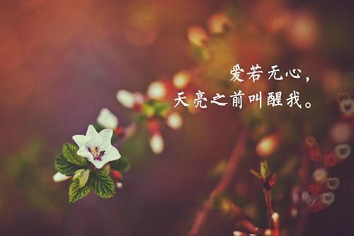 江虞贺东霖全文阅读最新 江虞贺东霖小说目录