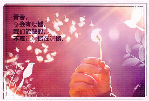 许见卿盛贺言小说（许见卿盛贺言）无弹窗大结局-许见卿盛贺言完整版免费阅读