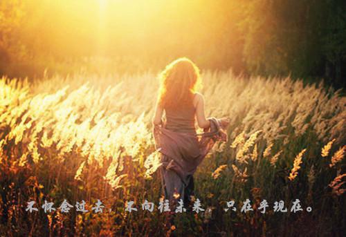 从此所爱隔山海最新章节 陆晨枫江念安顾泽在线阅读