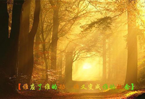 阿若楚钧小说全文免费阅读 阿若楚钧最新章节