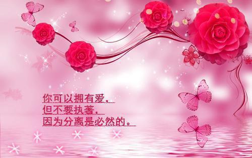 (完整版)许程孟思思轻轻小说免费阅读无广告