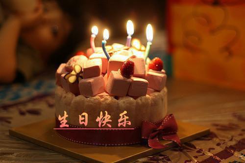 许雯唐芯小说免费 许雯唐芯第1章在线阅读