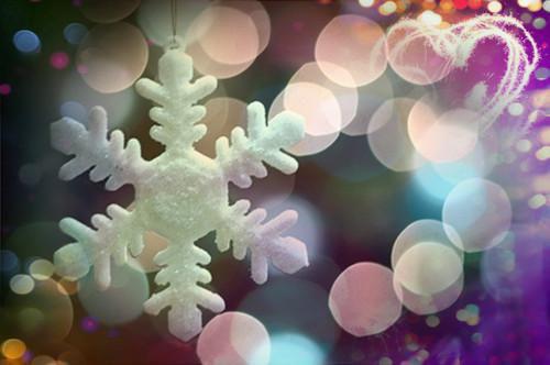 季风薇薇南雪小说免费 季风薇薇南雪第一章在线阅读