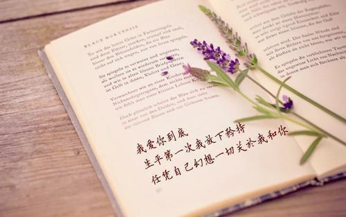主角是沈杰的小说免费阅读全文大结局