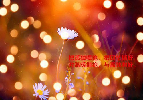 何淑宴萧臣毅惜君小说最后结局 何淑宴萧臣毅惜君完结版免费阅读