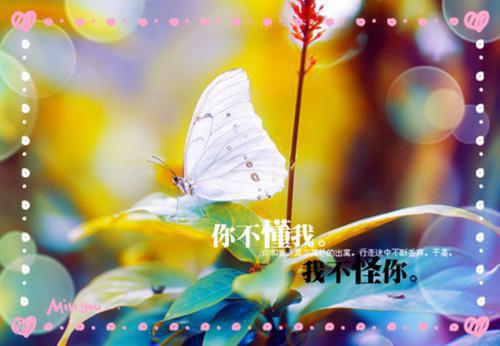 成为药学博士后，系统让我闯荡娱乐圈小说在线阅读无弹窗 姬宁小安郑飞扬章节列表