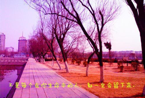 程知阙付思宜哪里可以看 程知阙付思宜免费阅读第8章