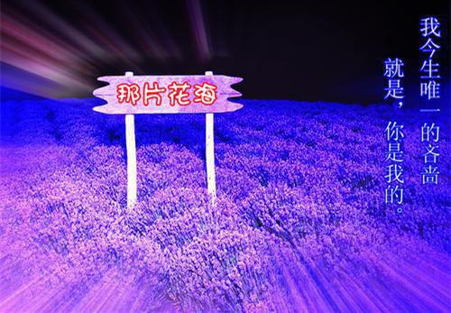 周一陆知行是什么小说 周一陆知行全本免费阅读