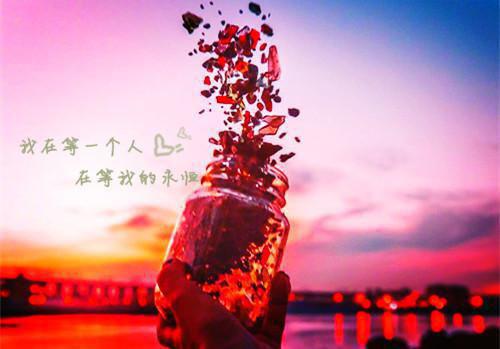 温歆江舟迟免费阅读目录 温歆江舟迟小说全文