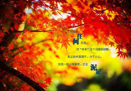 卫长歌陆临洲免费小说 卫长歌陆临洲全文阅读目录