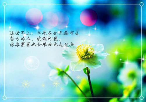 甩了嫌贫爱富妹后，哥哥我幸福了全文免费阅读冯都冯然然最新章节