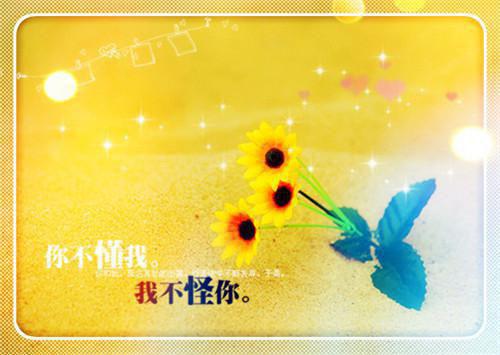 陆晏明周鸢小说（周鸢陆晏明）全文免费阅读无弹窗大结局_（陆晏明周鸢）周鸢陆晏明最新章节列表