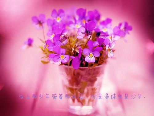 江芜祁朝是什么小说的主人公 江芜祁朝免费阅读