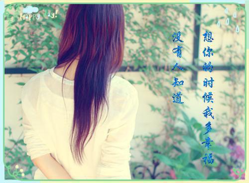 楚萧笙沈南枝是哪部小说的主角 楚萧笙沈南枝全文阅读