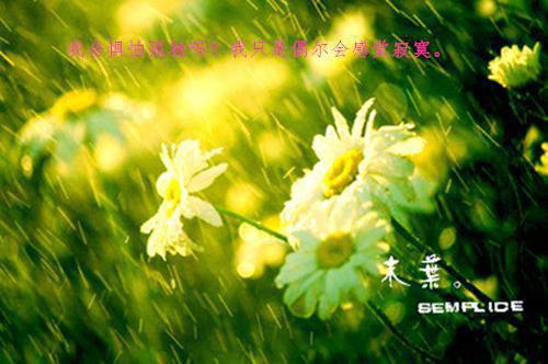 卖了三十栋楼后，我回到了六零年林紫免费阅读无弹窗大结局-卖了三十栋楼后，我回到了六零年林紫最新全章节全文阅读免费阅读
