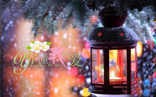 主角是简鸢沈鹤的小说免费阅读全文大结局