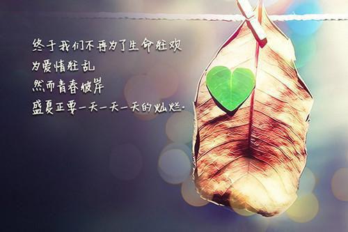 (番外)+(全文)林夕陆天野（我与你长痛短爱:全文+后续）全文免费阅读无弹窗大结局_林夕陆天野全文最新章节列表（我与你长痛短爱:全文+后续）