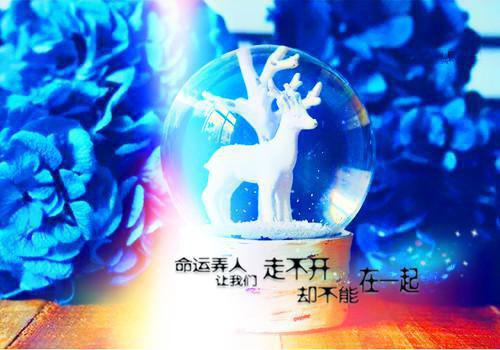 顾衡小说全免读 顾衡第二章在线阅读