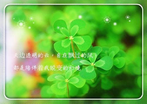 爱意不可违小说免费阅读(佚名)小说最新章节