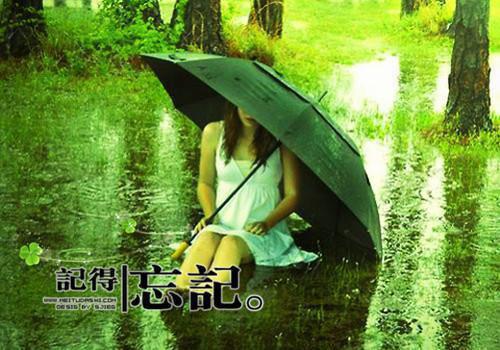 柳如烟肖青顾青衫全文阅读最新 柳如烟肖青顾青衫小说目录
