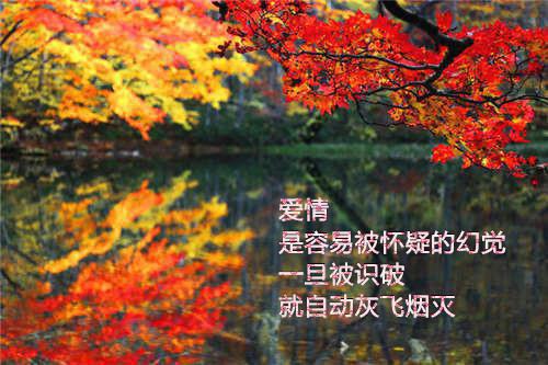 叶天李婉柔是什么书 叶天李婉柔免费章节在线阅读