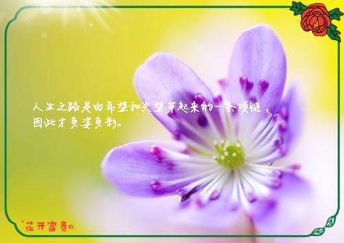 陈芸娇楚渊（楚渊陈芸娇）免费小说-主角楚渊陈芸娇全文在线完本阅读
