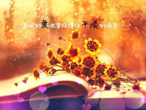 容妤沈戮（容妤沈戮）热文小说全文阅读-精彩美文容妤沈戮免费阅读