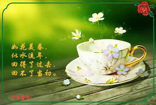 靳郁礼于青的小说 他们在世界毁灭中接吻小说免费阅读