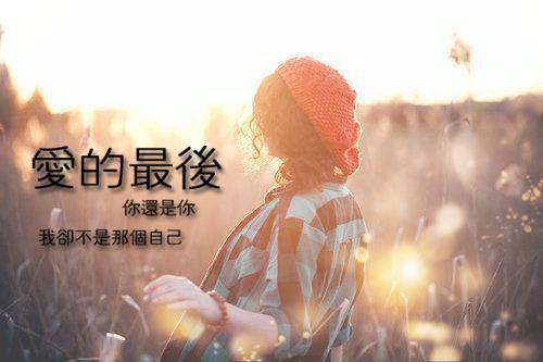 黄毛怎么了！当我老婆应有尽有！(结局) 苏泽洛婕妤免费阅读全文