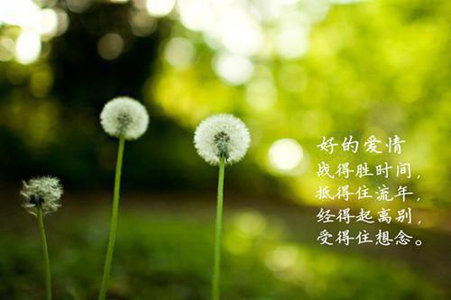林娇娇林朝阳上官心晴小说免费 林娇娇林朝阳上官心晴在线阅读