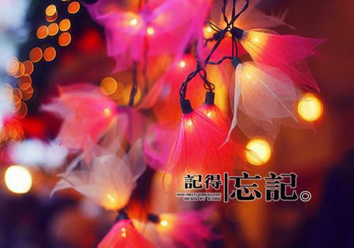 颜色缉凶晏朔武枣枣完整版在线阅读