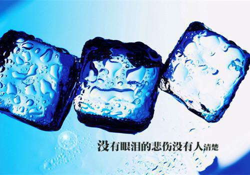 宋知慧沈君桦小说在线阅读 宋知慧沈君桦最新章节目录