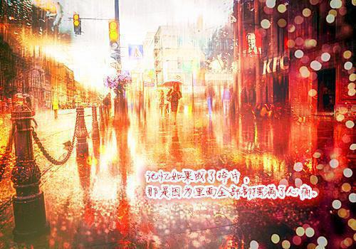 虞归晚宋予安江慕白小说全本 虞小姐的姻缘猫全文免费阅读
