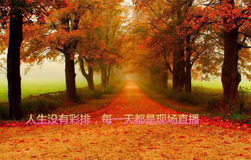 林挽意顾宴承小说叫什么名字 林挽意顾宴承全文免费阅读