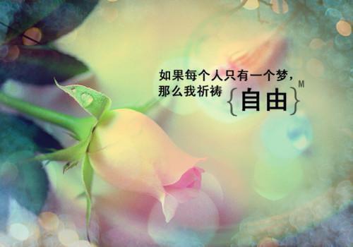 江黎梁屿最新篇章 花开修罗场全本免费阅读
