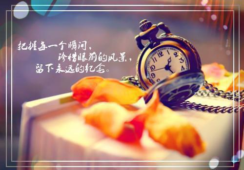 嫁给奸臣后在线阅读全文 江松墨温嘉敏何淼淼小说结局