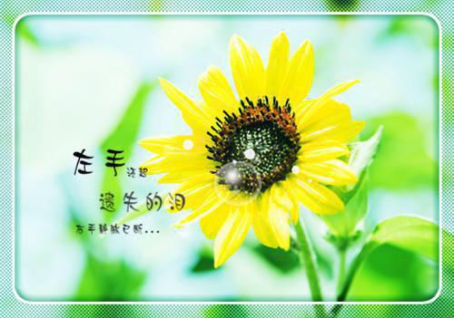 秦时臻宋清欢全文阅读最新 秦时臻宋清欢小说目录